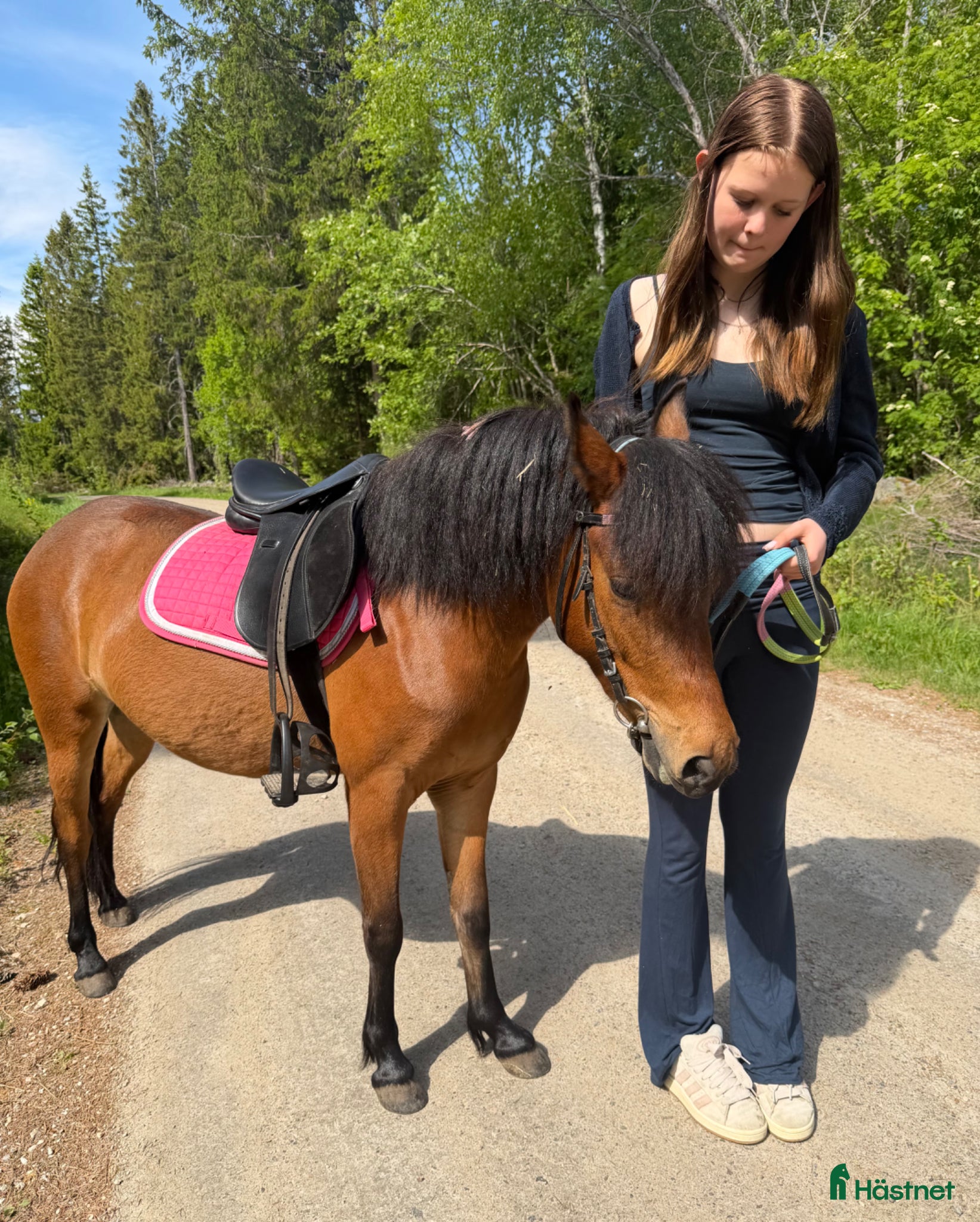  hästar Jättefin b-ponny - Annons 1