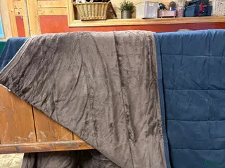 Täcken hästutrustning Kentucky Liner 140 & 145cm i Nälden - Annons 11