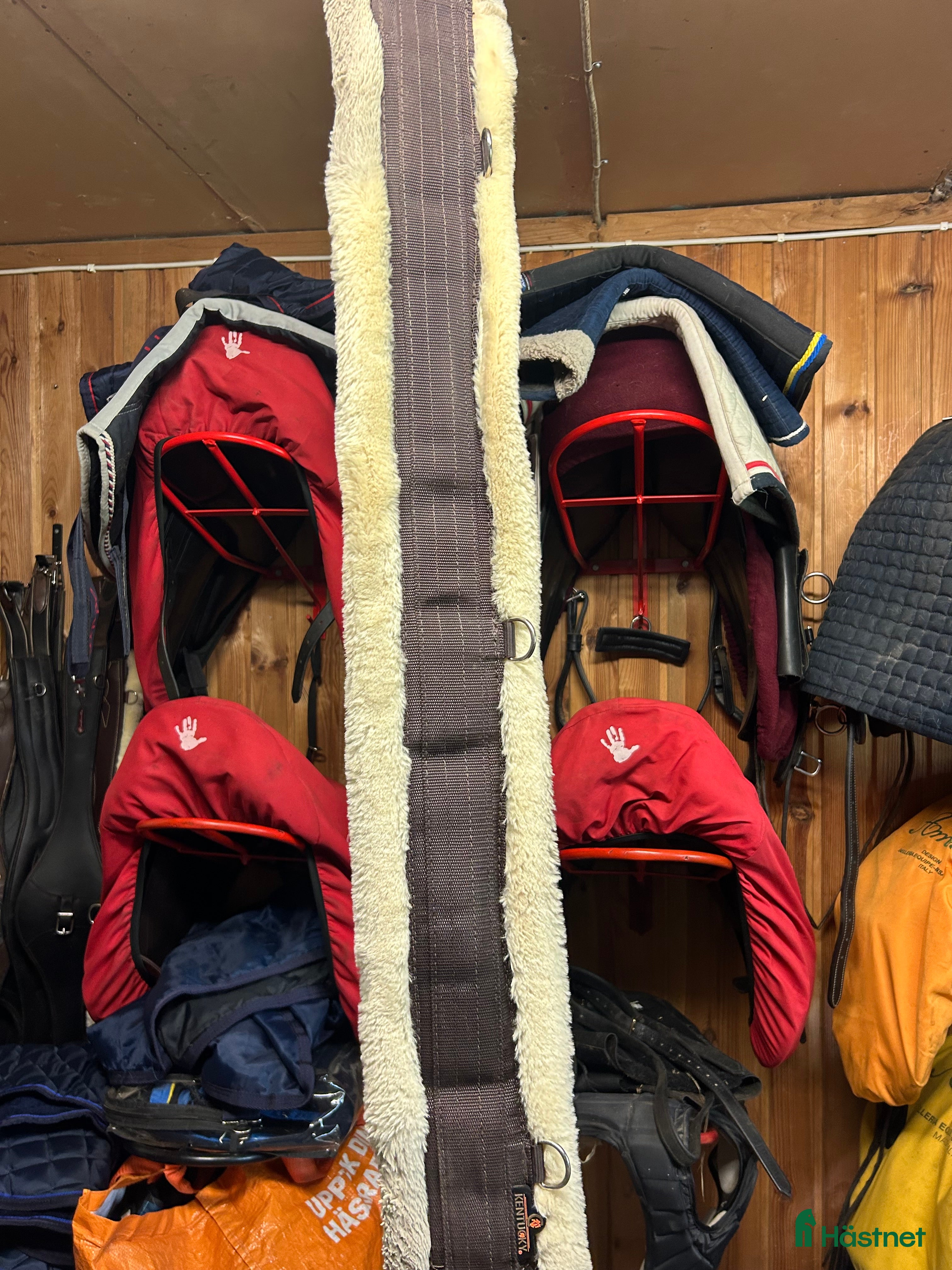 Övrig Hästutrustning hästutrustning till salu: Blandat säljes i Lammhult - Annons 7