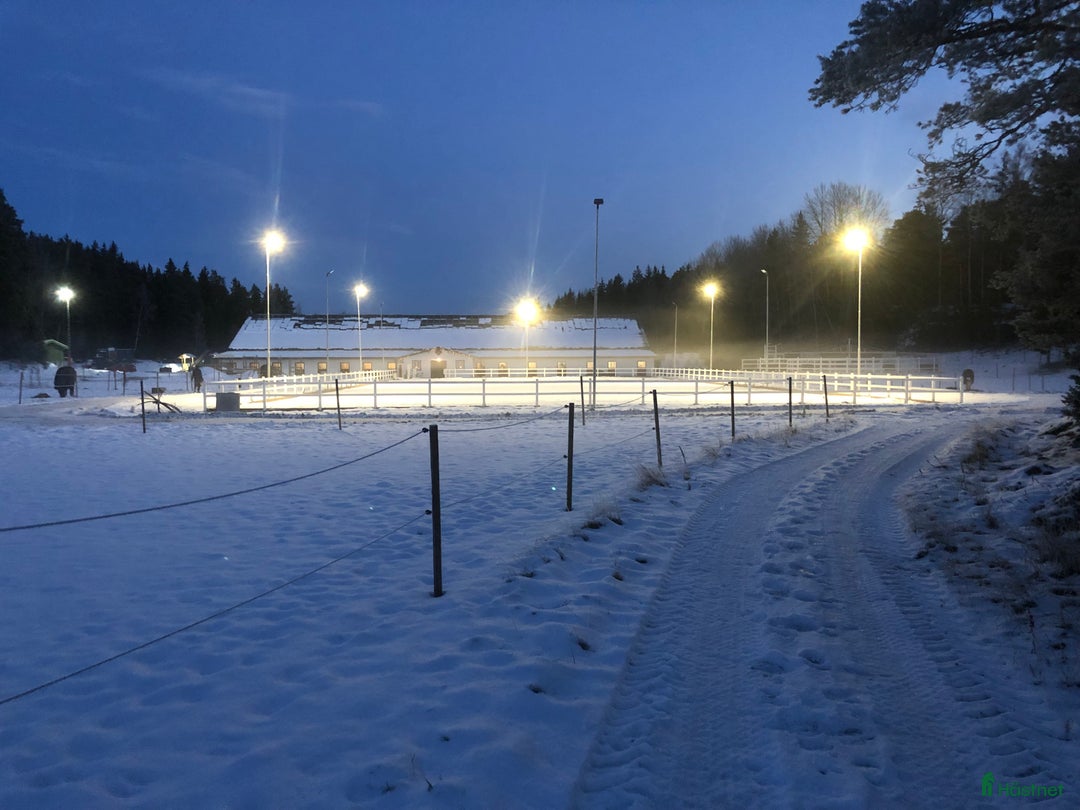  stallplats finnes: Ett par platser lediga på Torsholma 29! i Vallentuna - Annons 2