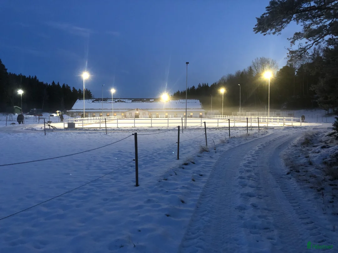  stallplats finnes: Ett par platser lediga på Torsholma 29! i Vallentuna - Annons 2