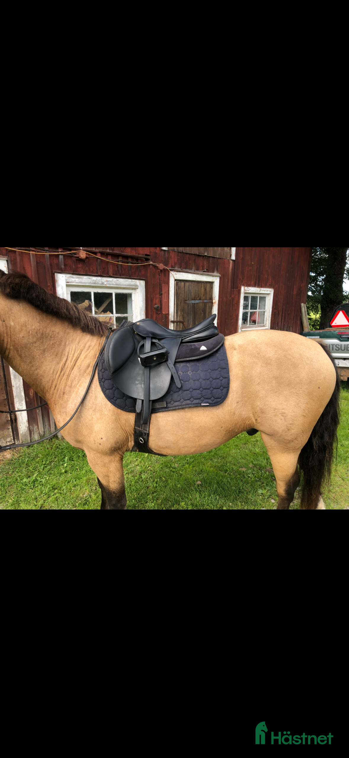 Sadlar hästutrustning till salu: Bates momentum sadel i Örebro - Annons 8