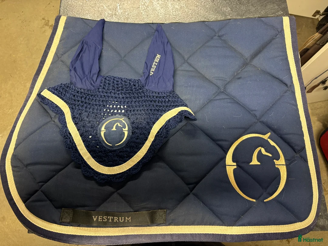 Schabrak & Vojlockar hästutrustning till salu: Stilrena och bekväma hästschabrak  - Annons 2