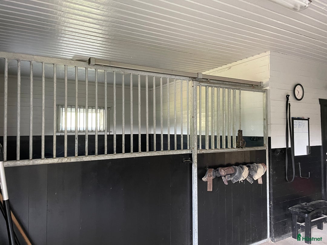  stallplats finnes: Två stallplatser uthyres i Tollarp - Annons 2