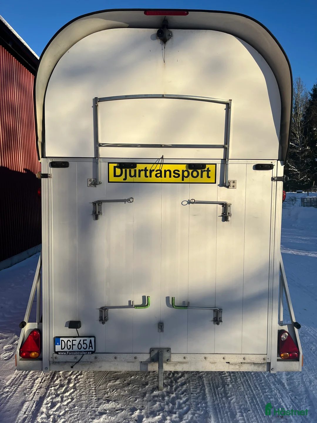 Hästtransporter  fordon & transport till salu: Forzab Futuro SEH20 2019 i Ingelstad - Annons 10