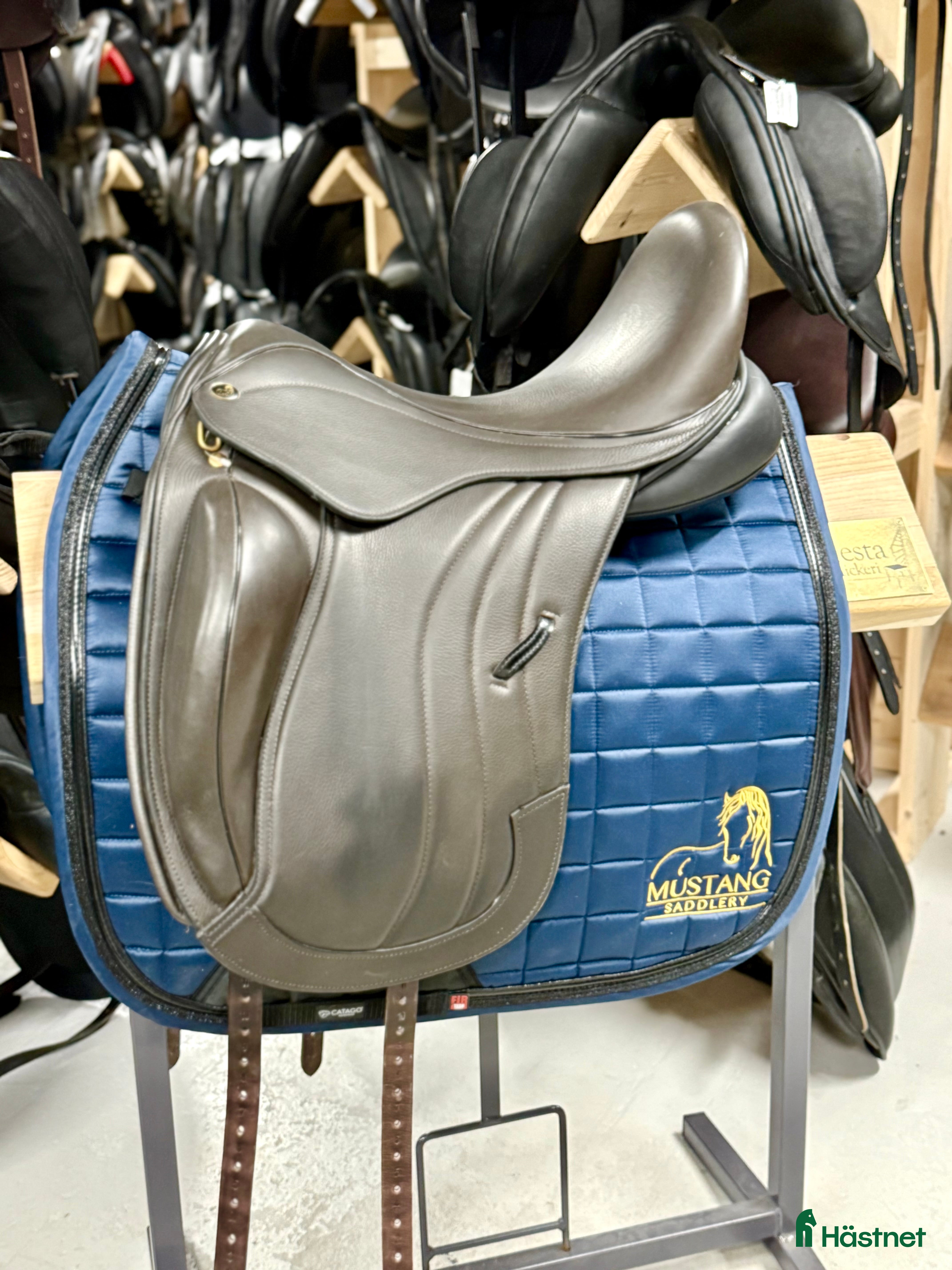 Sadlar hästutrustning till salu: REA 30% Jeffries/Mustang Beatrice Dressyr  i Knivsta - Annons 18