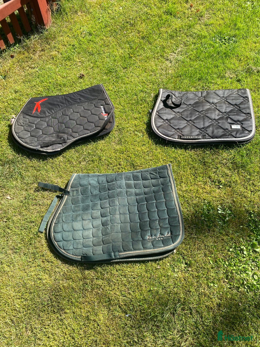 Schabrak & Vojlockar hästutrustning till salu: Fina hoppshabrack!  i Lyckeby - Annons 2