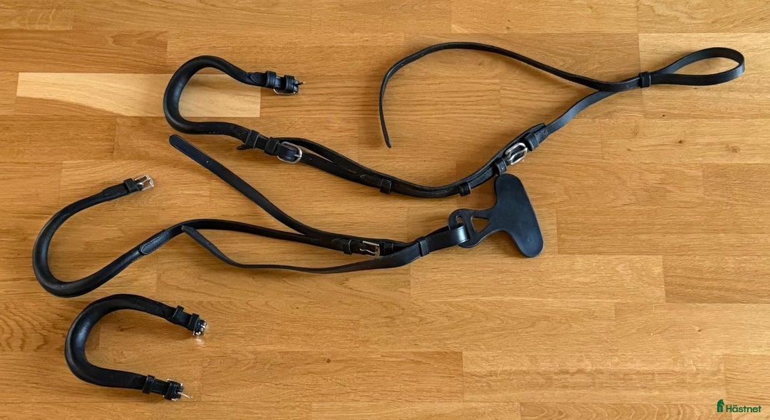 Övrig Hästutrustning hästutrustning till salu: Gjordar, martingal, tyglar, mm i Vikingstad - Annons 5