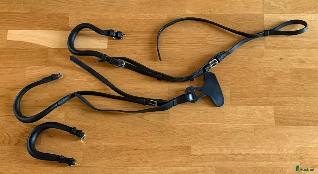 Övrig Hästutrustning hästutrustning till salu: Gjordar, martingal, tyglar, mm i Vikingstad - Annons 5