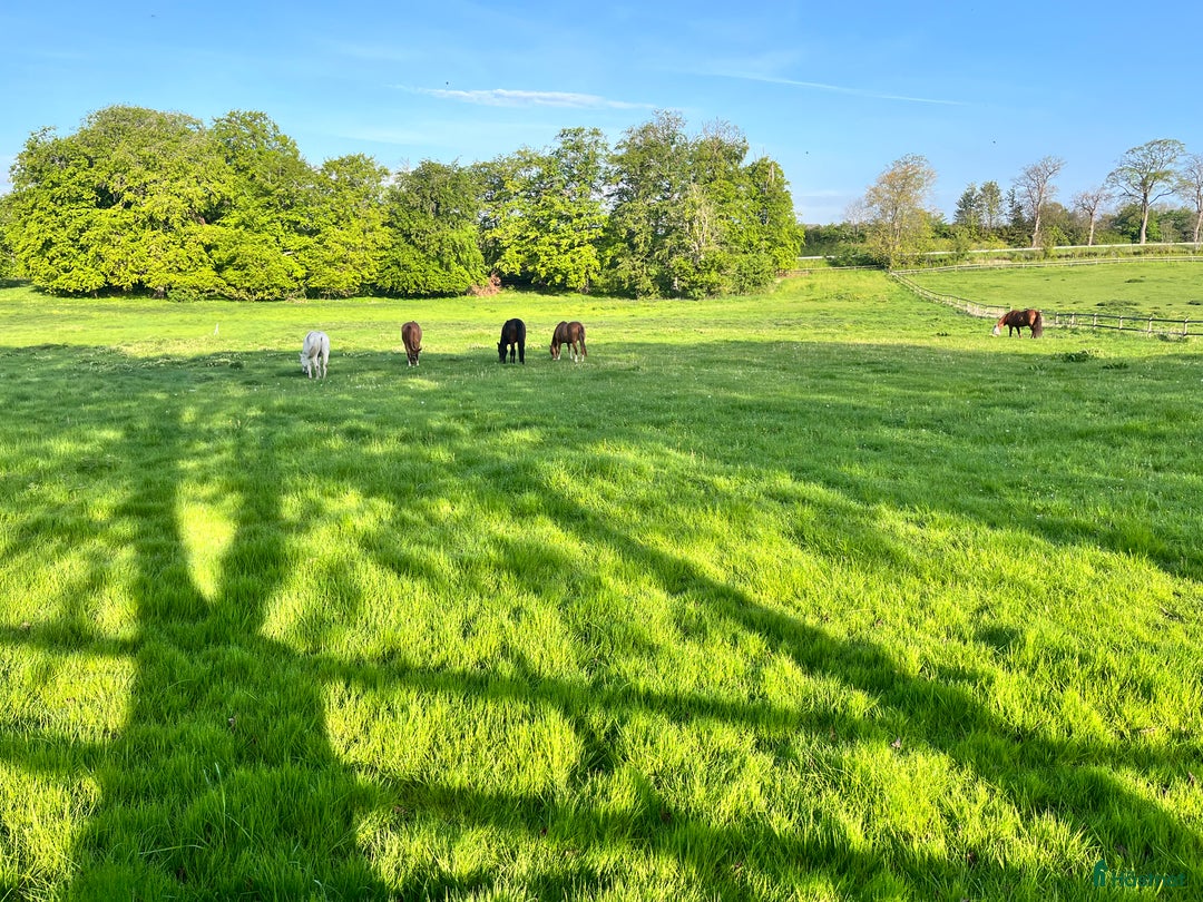  stallplats finnes: Stallplats i Klågerup 🌸 i Klågerup - Annons 3