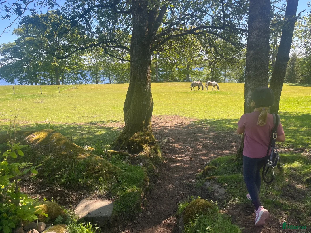  stallplats finnes: Stallplats på Stall Takkullen i fina Hindås! i Hindås - Annons 8