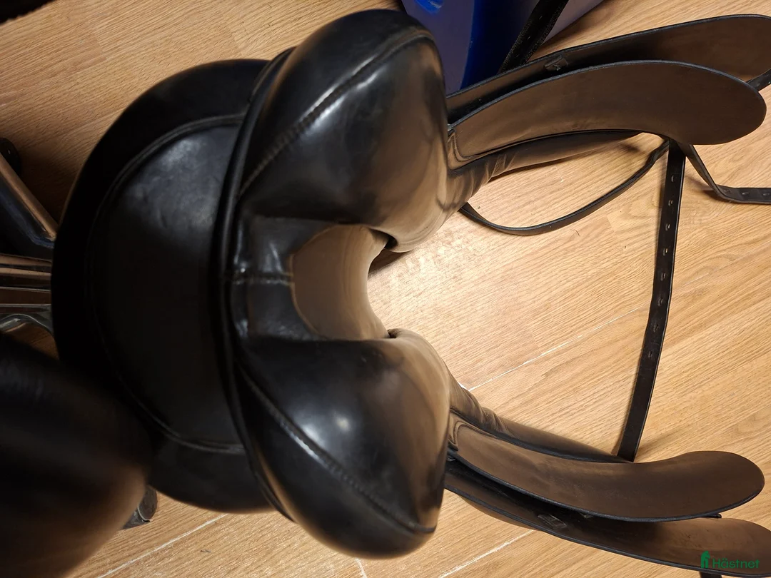 Sadlar hästutrustning till salu: Albion Legend K2 - Annons 7