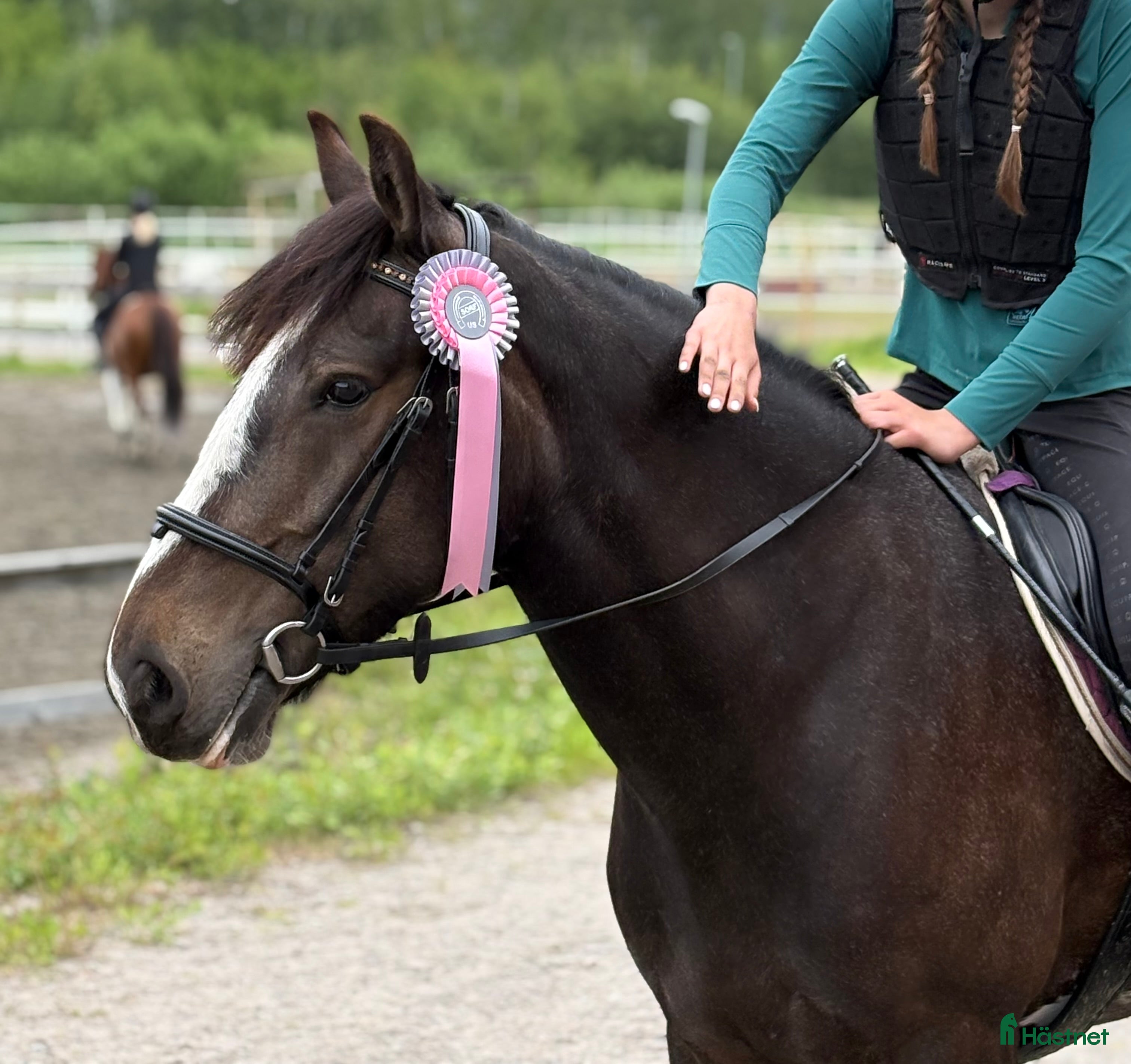  hästar Drömponnyn för hela familjen! i Torslanda - Annons 7