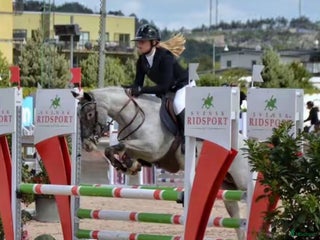 hästar En riktig Drömponny i Hässleholm - Annons 4