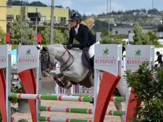 hästar En riktig Drömponny - Annons 2