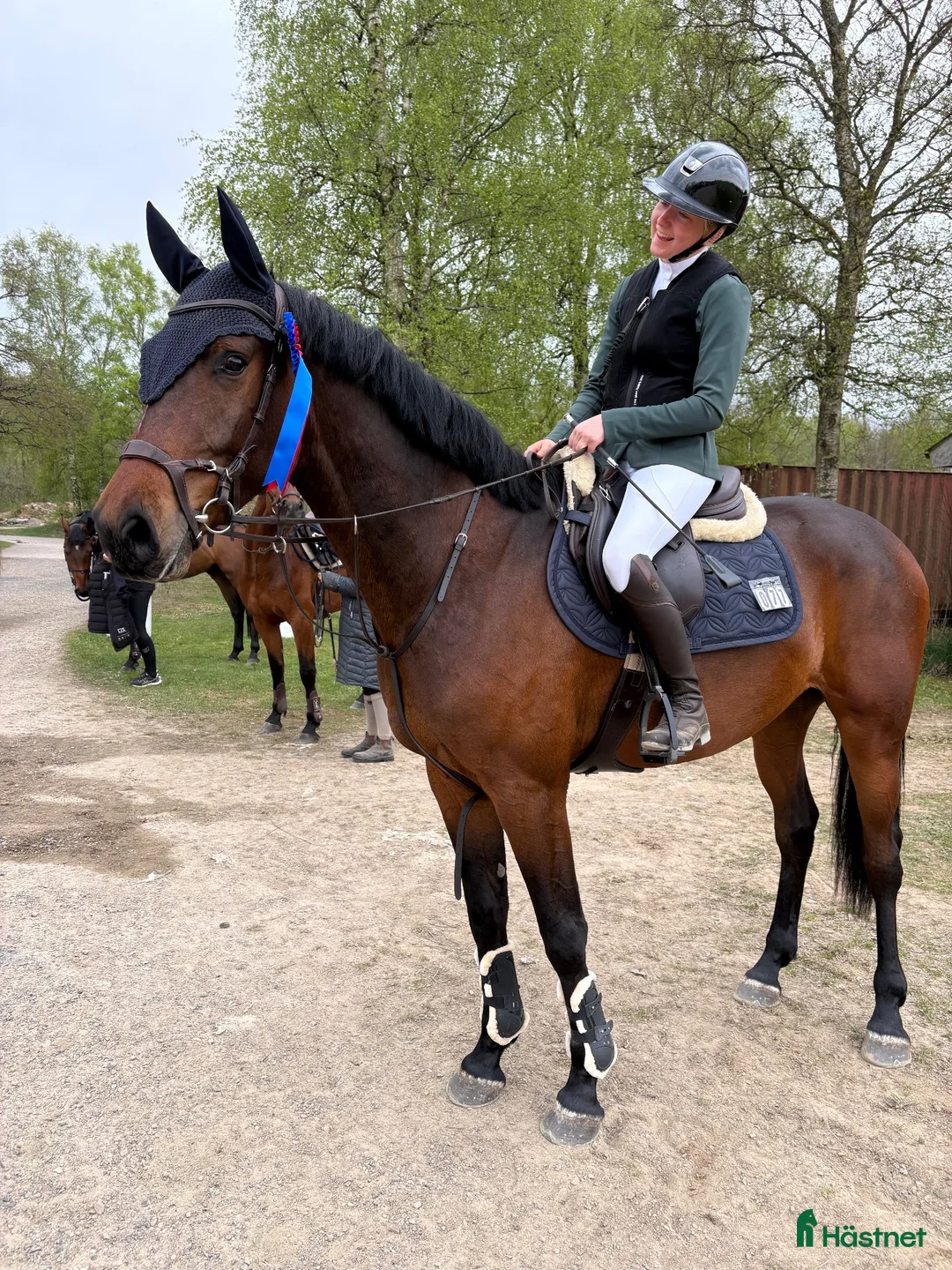 Hoppning hästar till salu: Talangfull 4 åring  - Annons 1