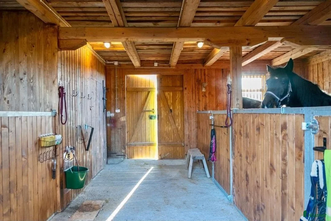  stallplats finnes: Lösdrift nära Eskilstuna i Eskilstuna - Annons 2