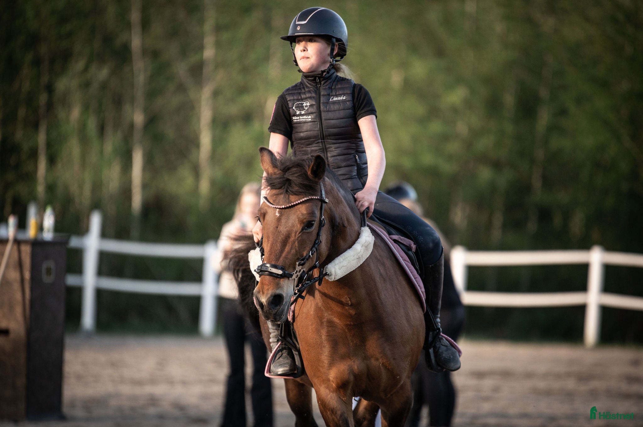 Allround hästar till salu: Hopp- & projektponny med stor potential! - Annons 1