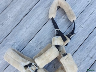 Övrig Hästutrustning hästutrustning till salu i Trollhättan - Annons 40