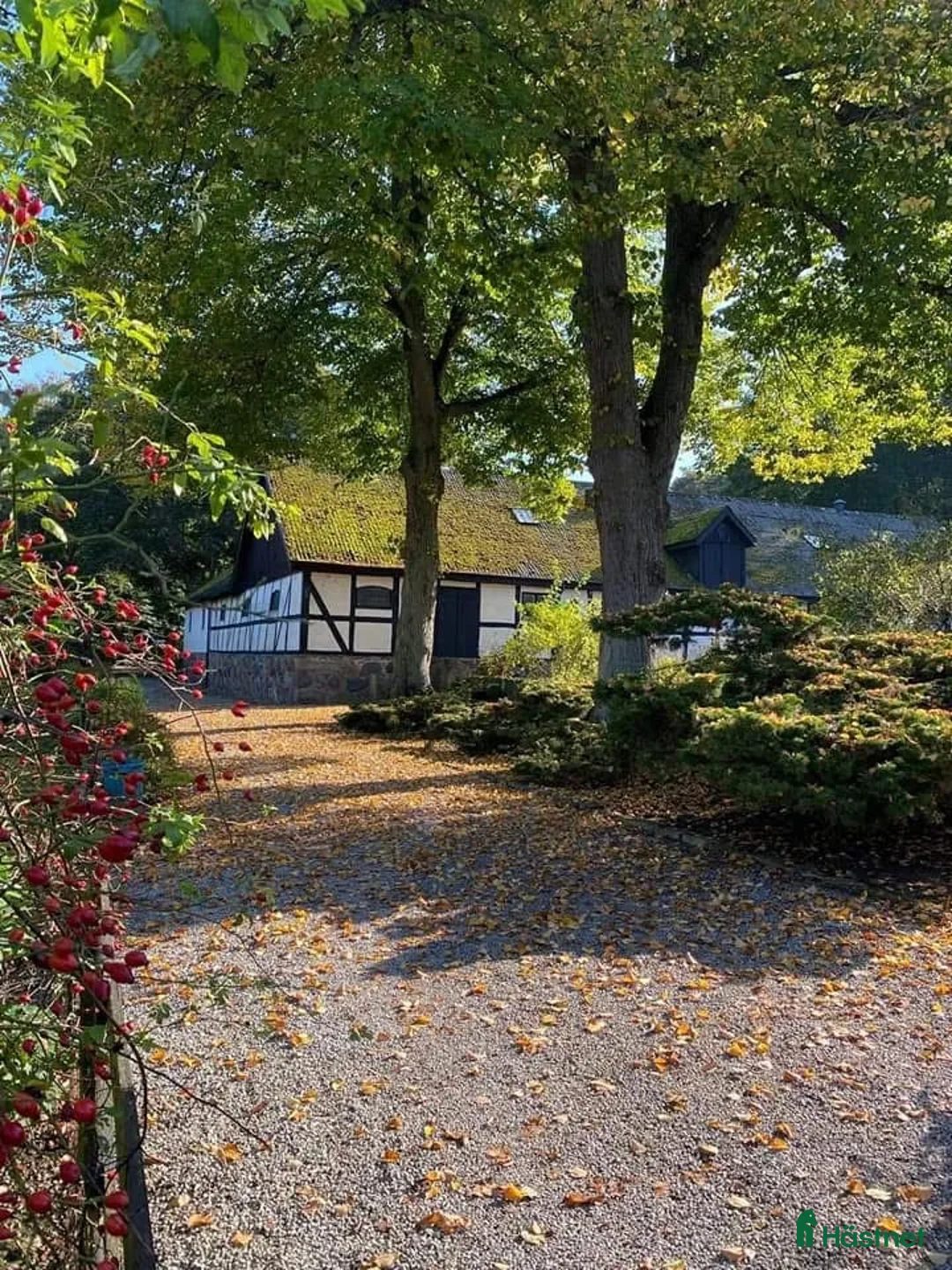  stallplats finnes: Boxplats på vackra Högsmölla, Furulund  i Kävlinge - Annons 1