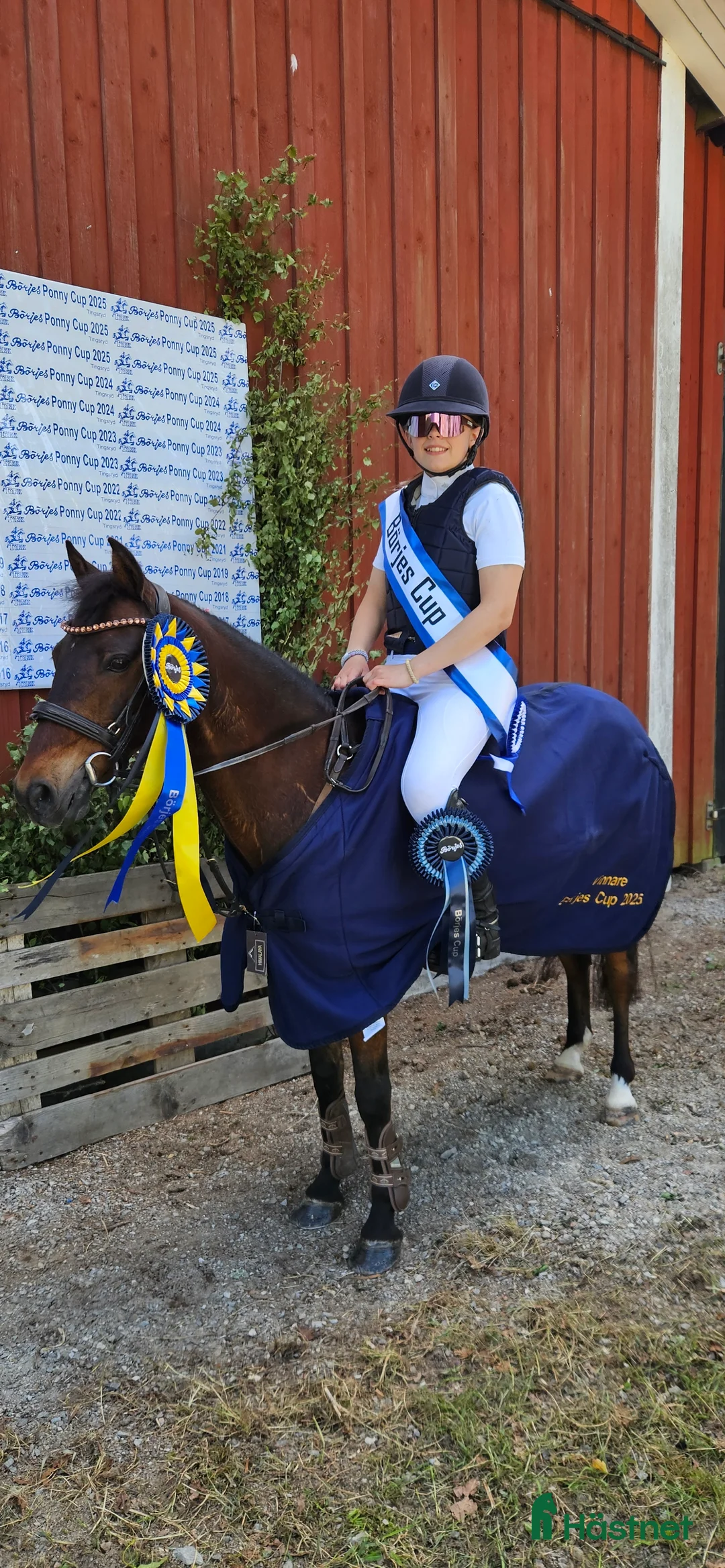 Hoppning hästar till salu: Vår b-ponny era håller på att ta slut.... - Annons 2