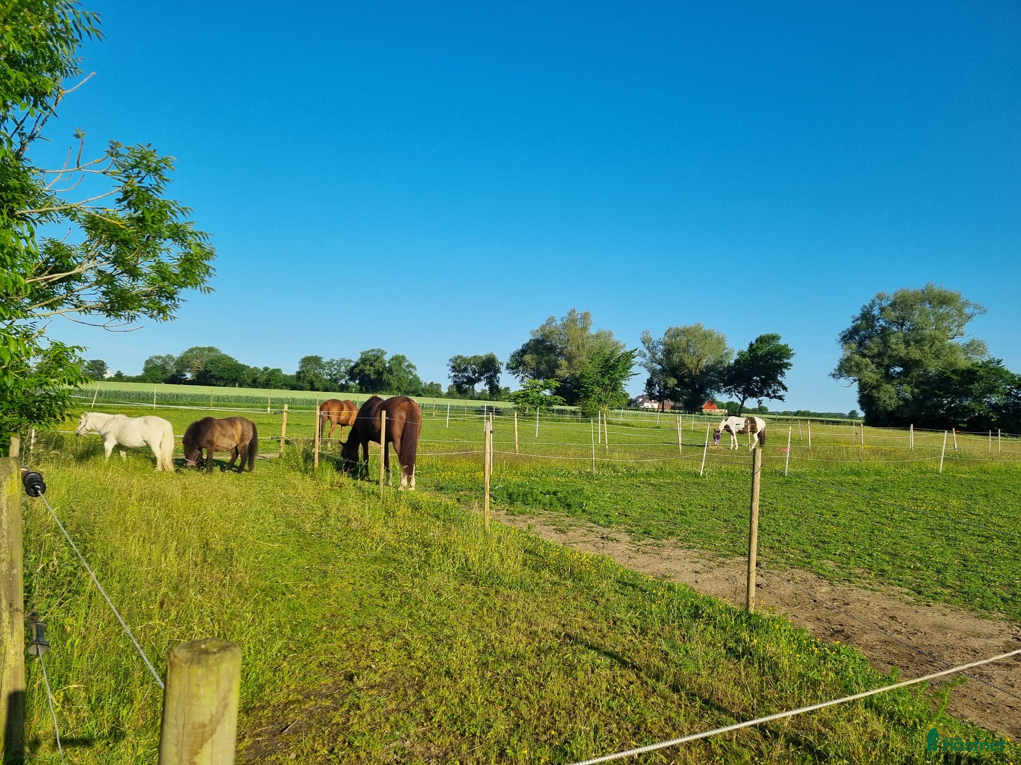  stallplats Boxplats uthyres - Annons 18
