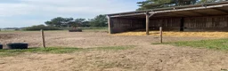  stallplats finnes: Nu har vi lediga lösdriftplatser/ boxplatser  i Gärds Köpinge - Annons 3