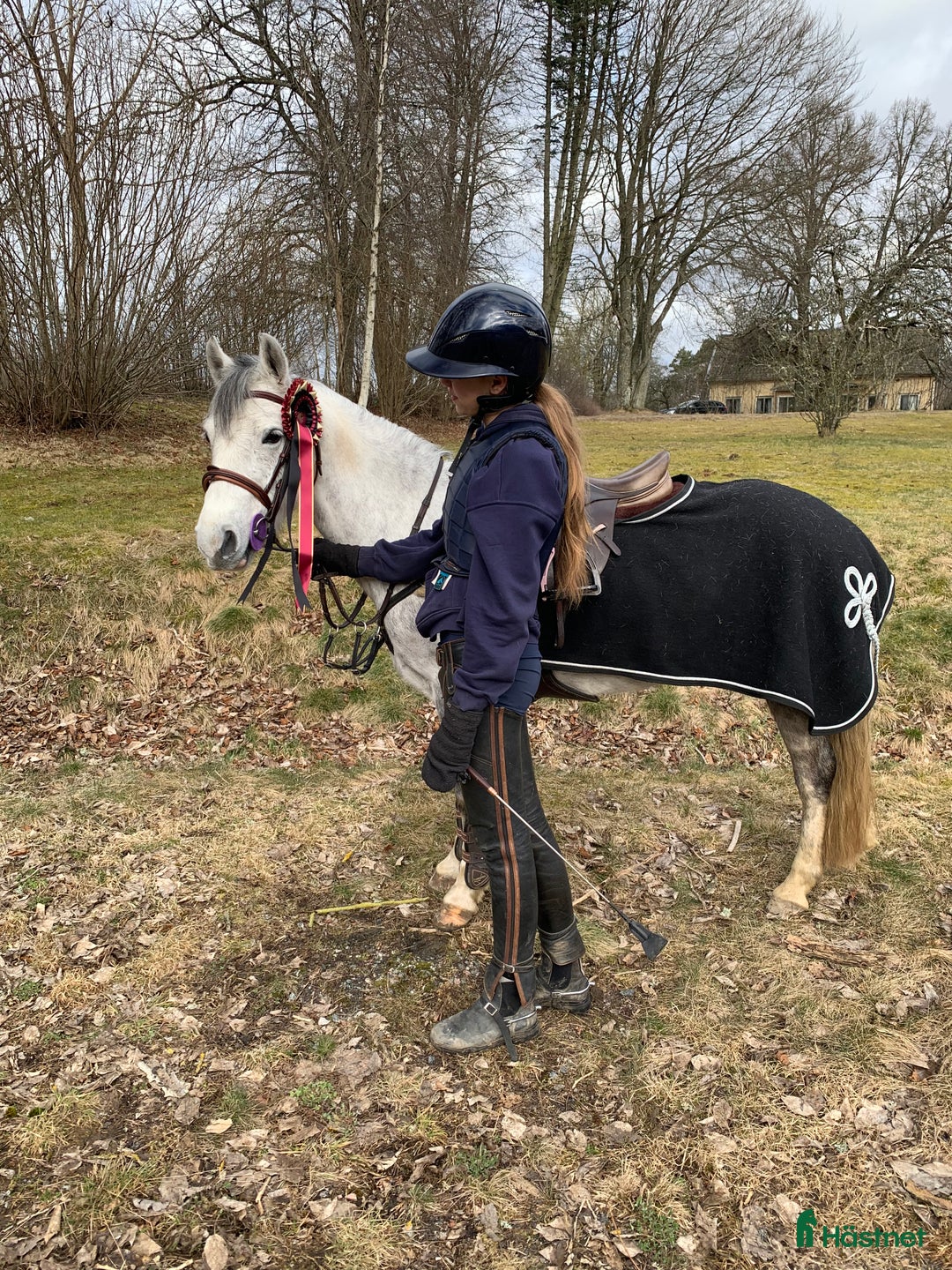 Hoppning hästar till salu: En oslipad diamant i Ytterby - Annons 1