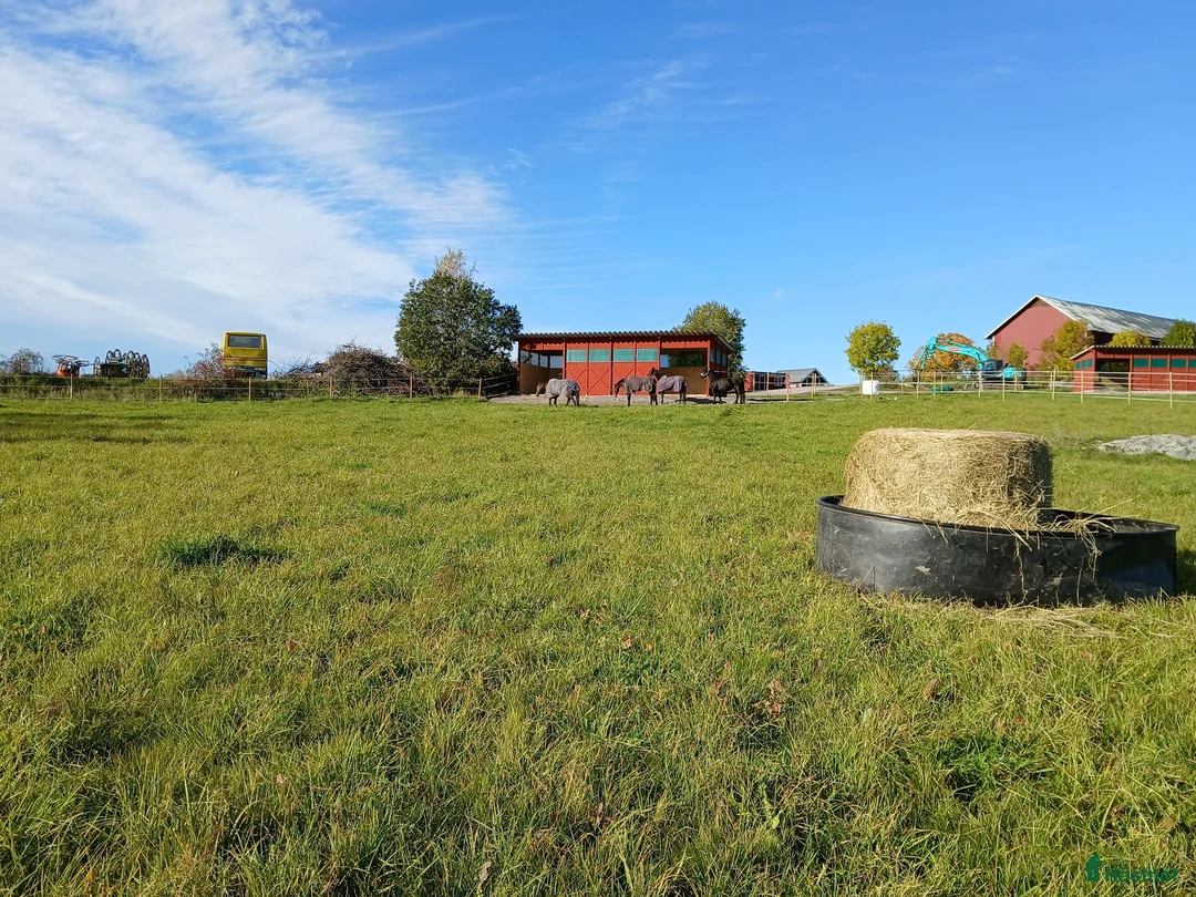  stallplats finnes: Stallplats nära Buss Norra Sthlm - Annons 5