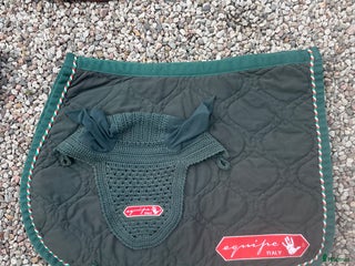 Schabrak & Vojlockar hästutrustning till salu: Equipe i Höganäs - Annons 2