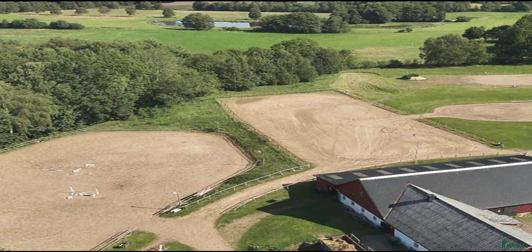 Galleribild {{count}}