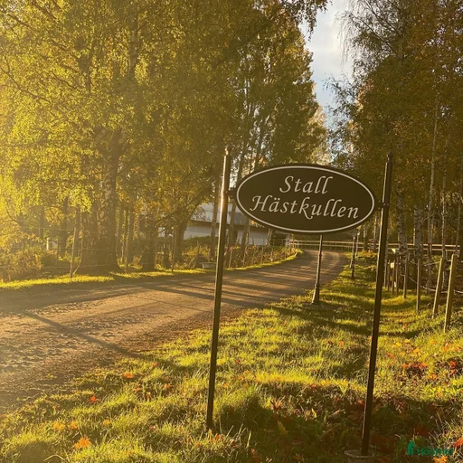 Galleribild {{count}}