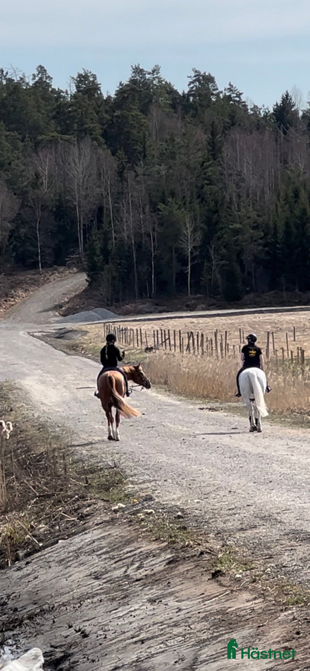  stallplats finnes: Träningsanläggning 20 min från centrala Stockholm i Stockholm - Annons 6