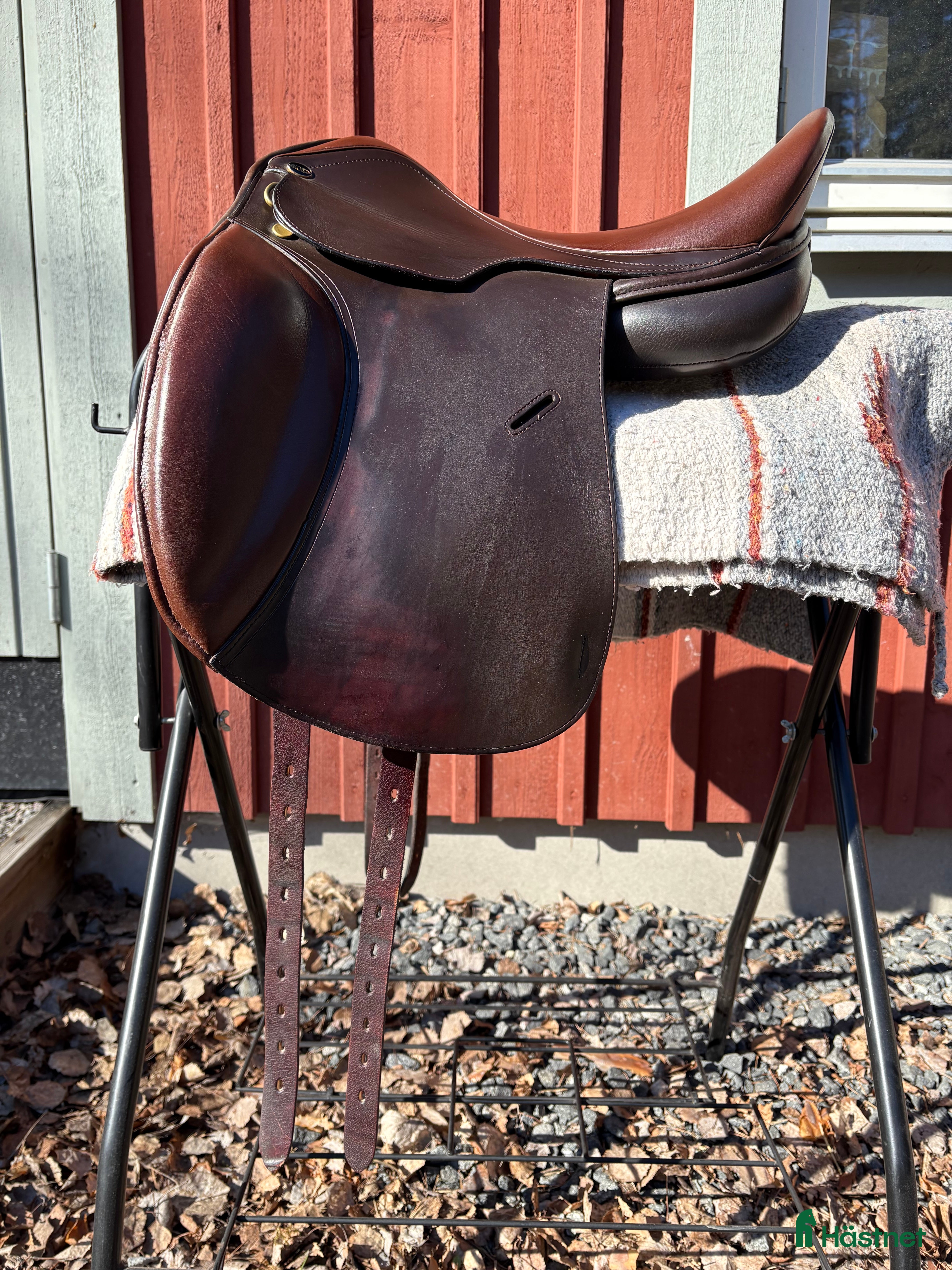 Sadlar hästutrustning Globus Crincle - Annons 5