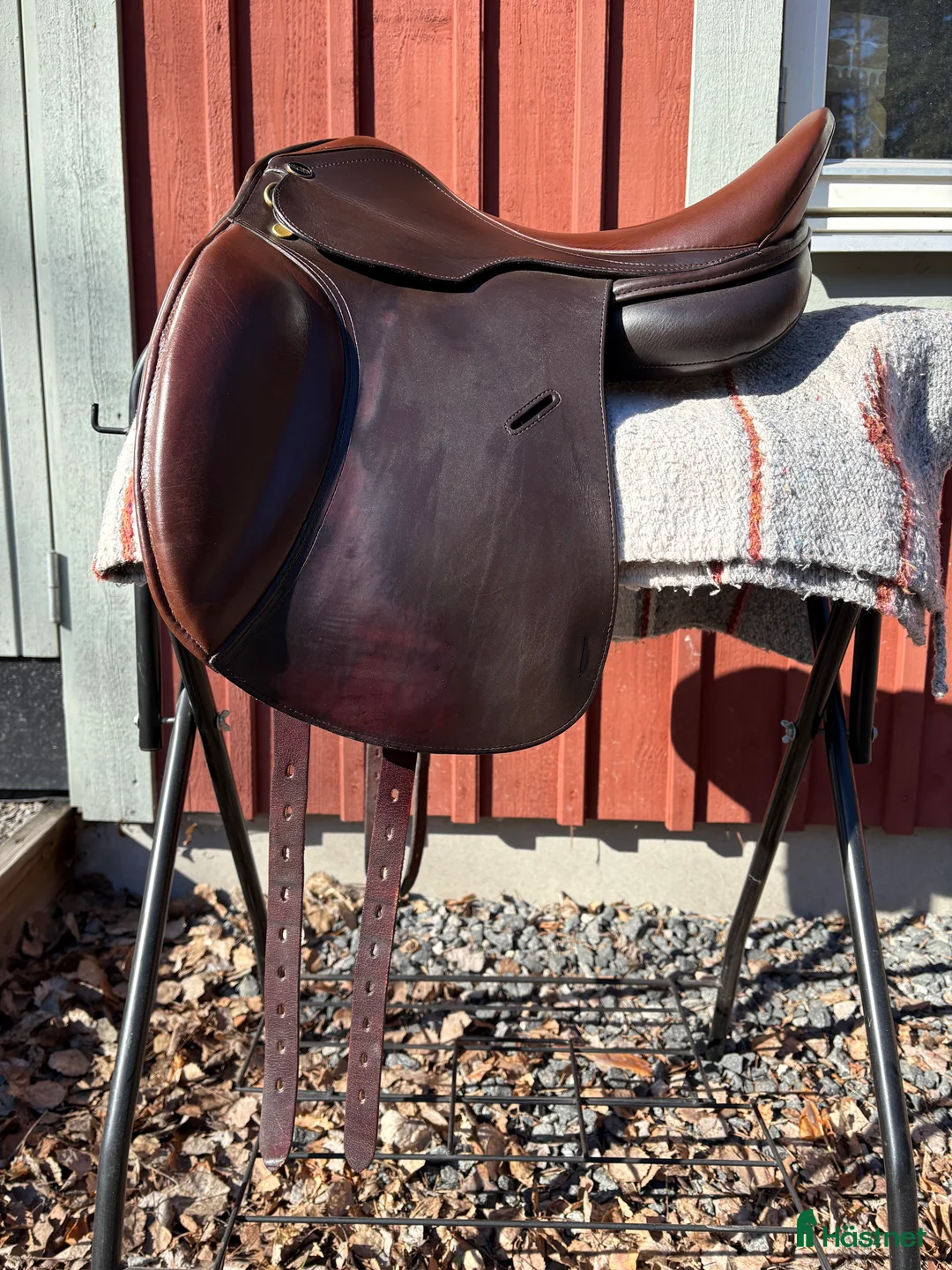 Sadlar hästutrustning till salu: Globus Crincle i Vallentuna - Annons 1