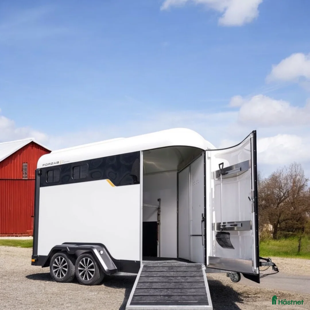 Hästtransporter  fordon & transport till salu: Forzab EQ2 med eller utan fronturlastning i Klippan - Annons 2