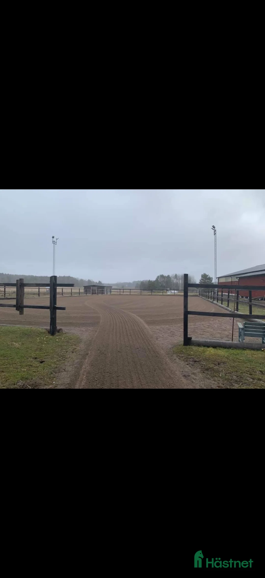  hästservice finnes: Fullservice för kortare och längre tid finnes - Annons 2