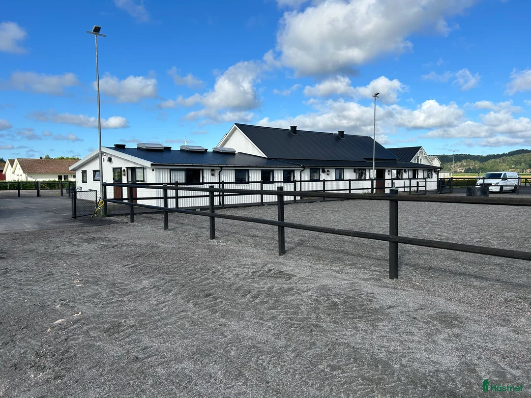  hästjobb finnes: Ansvarsfull medarbetare sökes i Kungsbacka - Annons 1