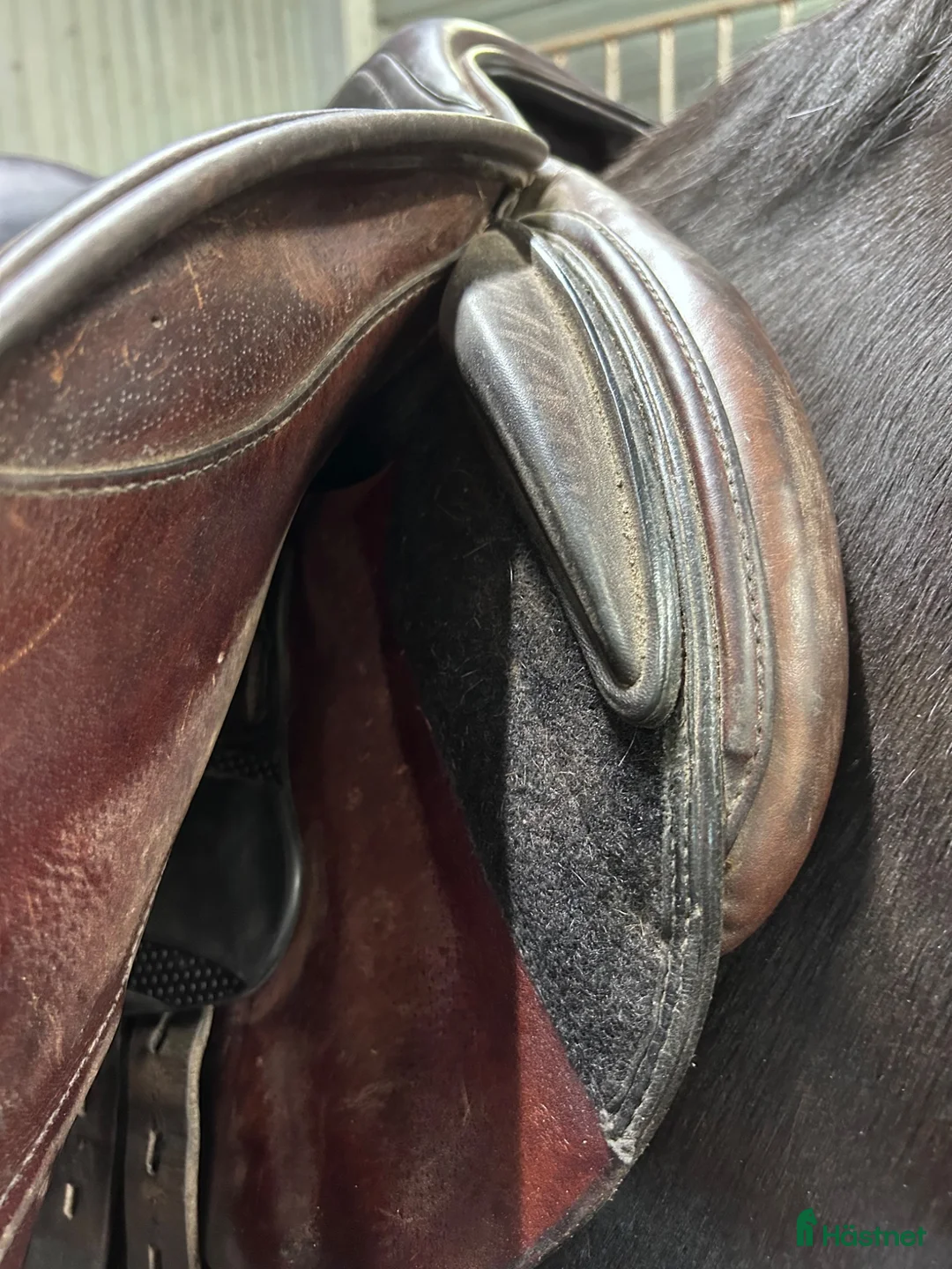 Sadlar hästutrustning till salu: Equiline closer - Annons 5