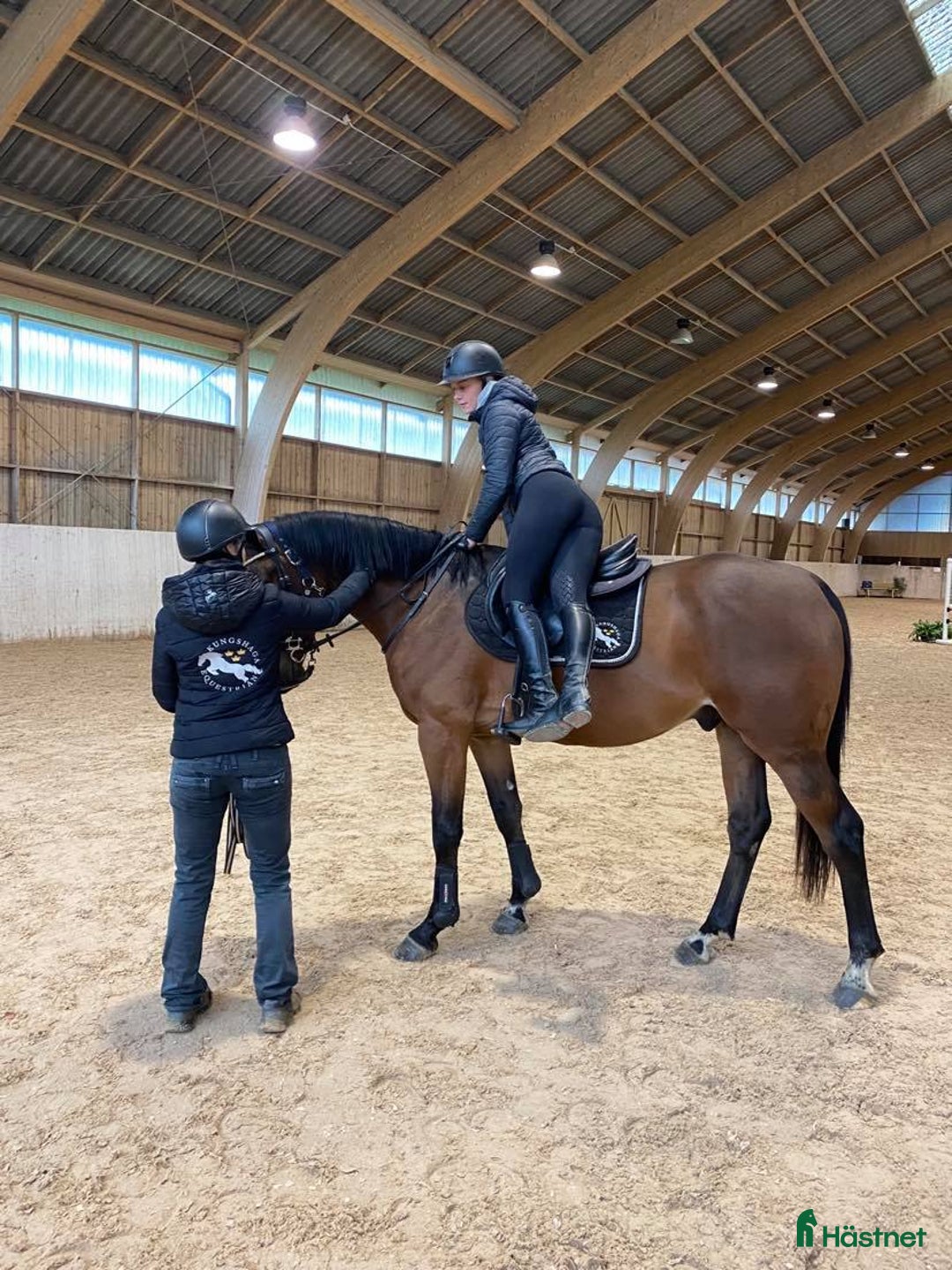  hästservice finnes: Önskar du hjälp - inridning/utbildning/försäljning i Eslöv - Annons 10
