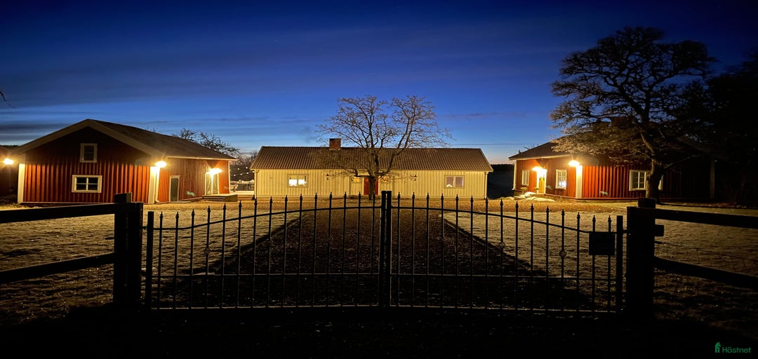 Galleribild {{count}}