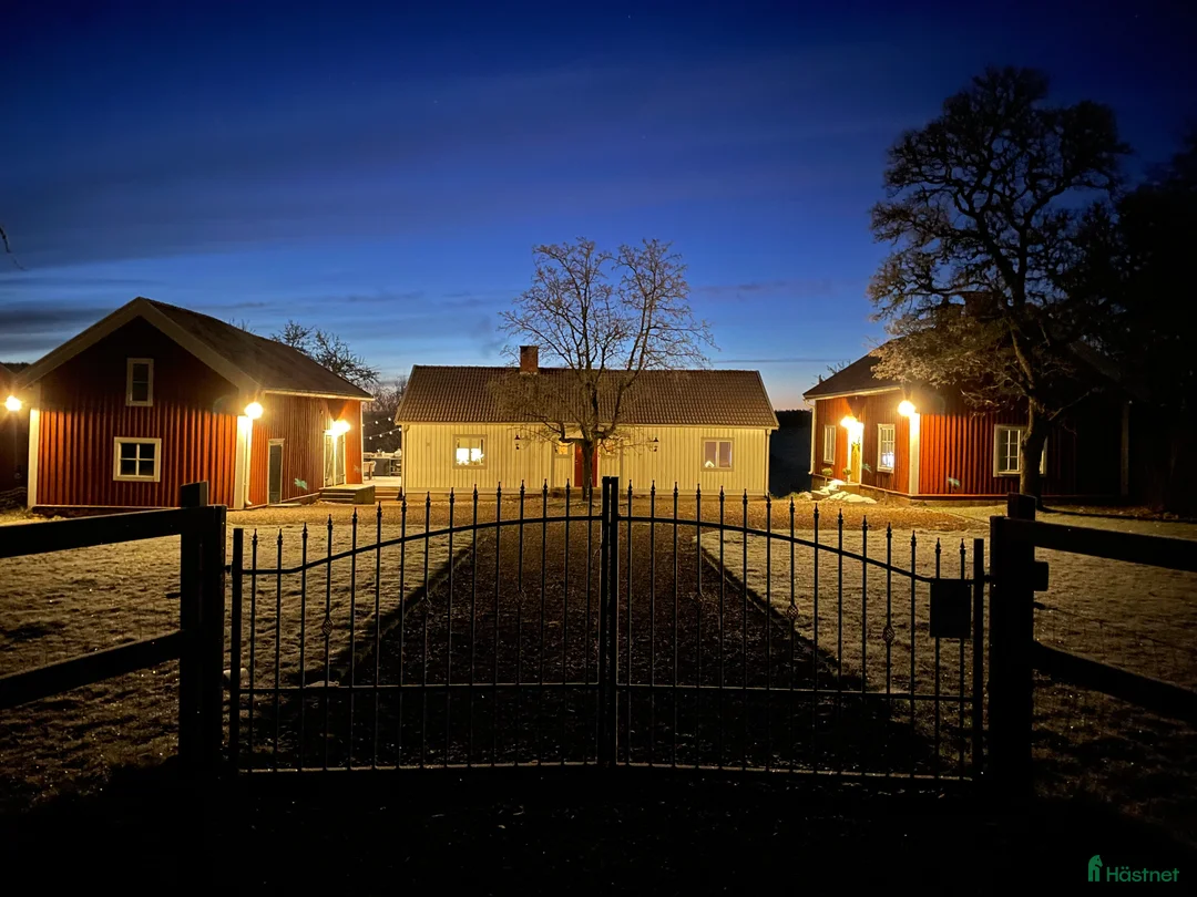 Galleribild {{count}}