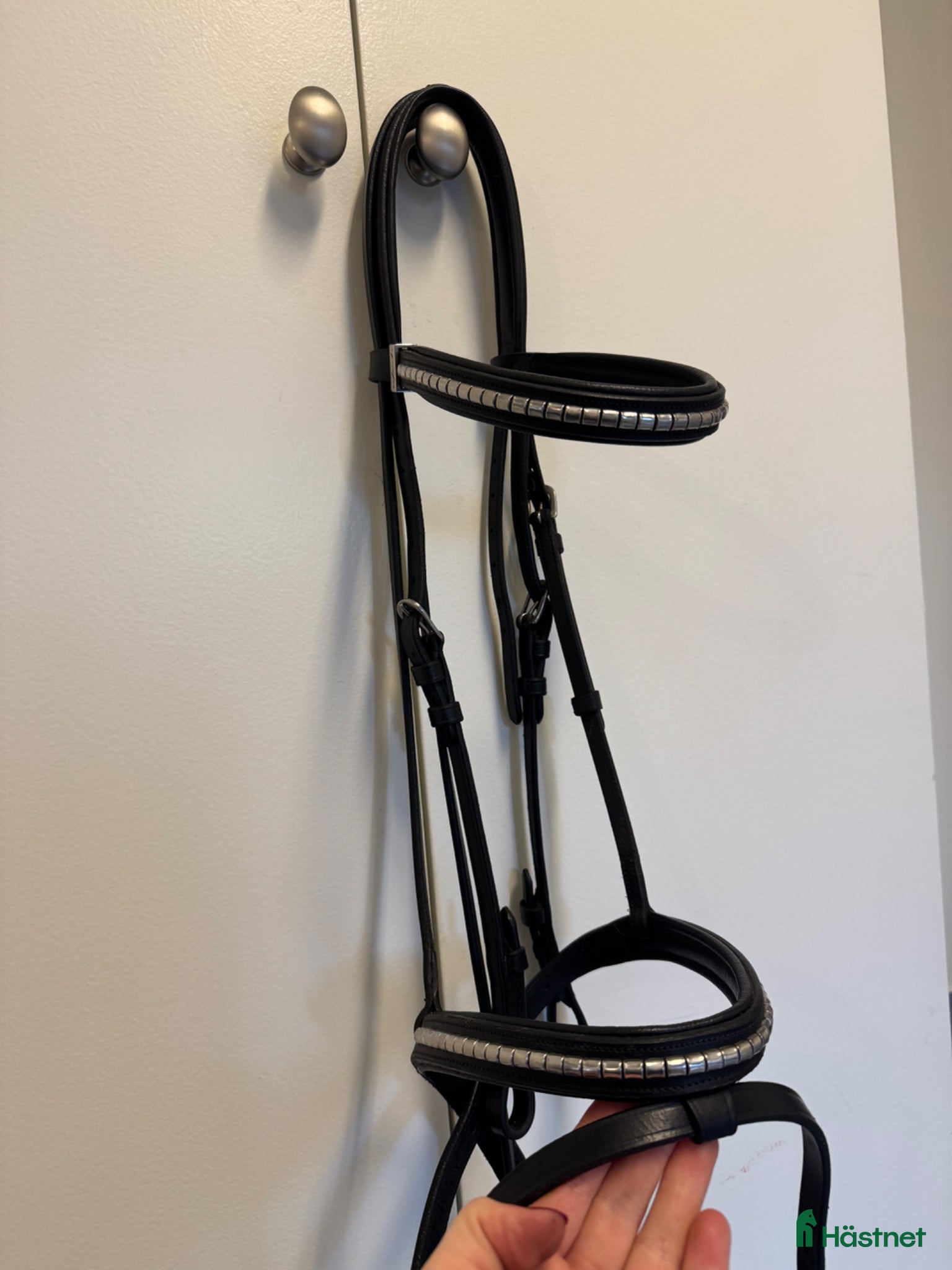 Träns hästutrustning Equipe träns - Annons 2