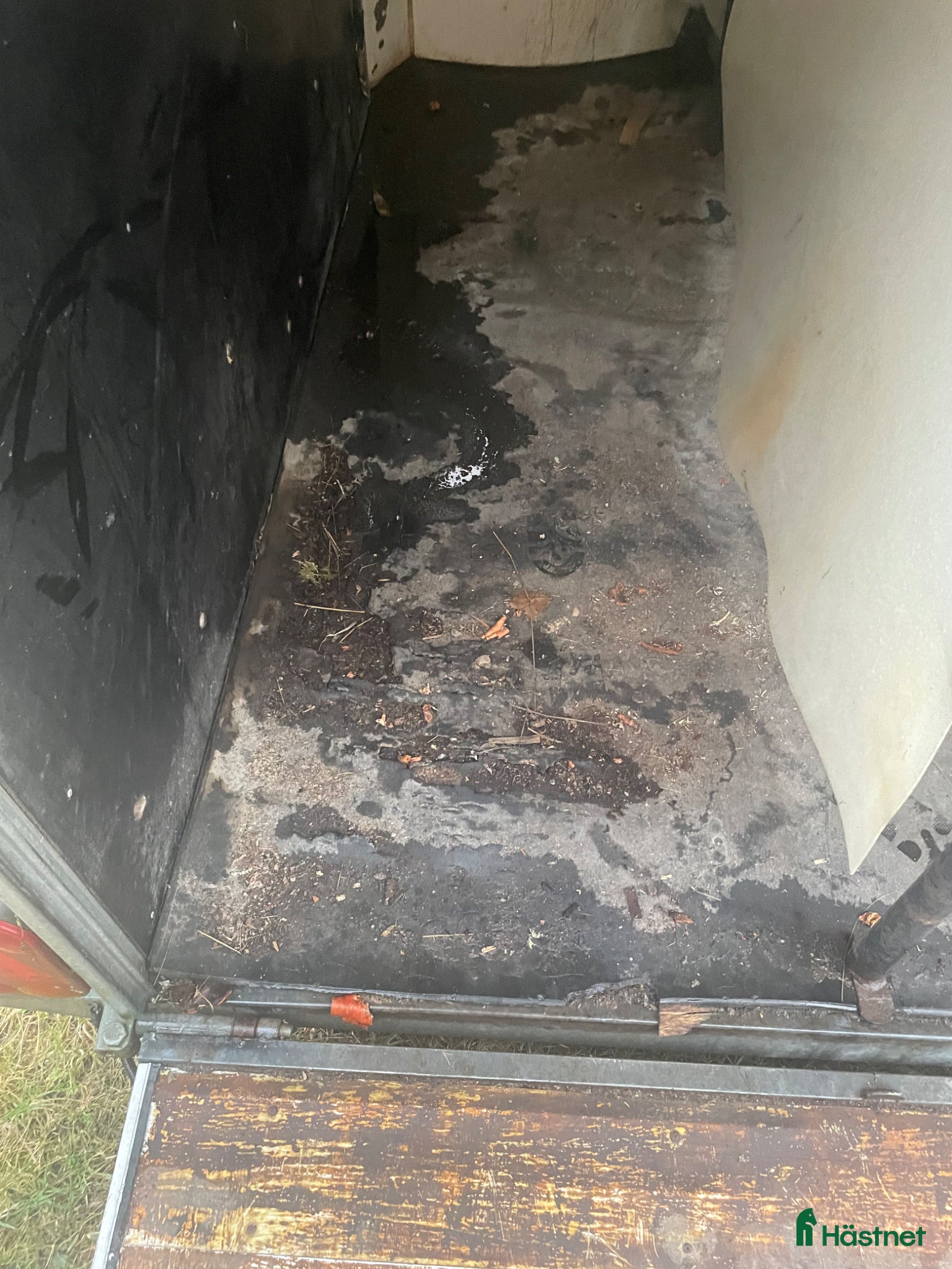 Hästtransporter  fordon & transport till salu: Cheval Liberte Gold Pullman V2 - Annons 8