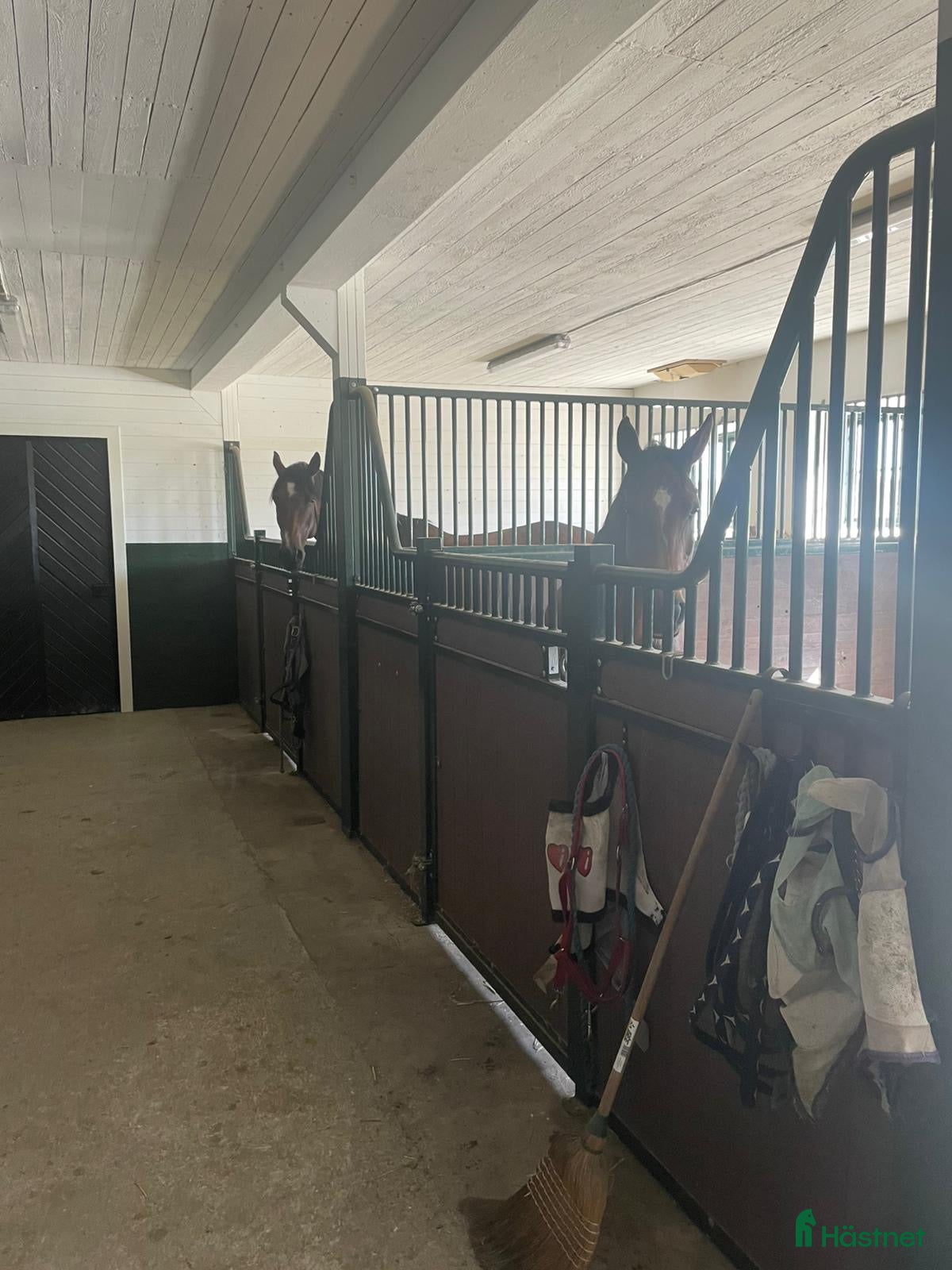  stallplats Ledig stallplats i Strängnäs  i Strängnäs - Annons 9