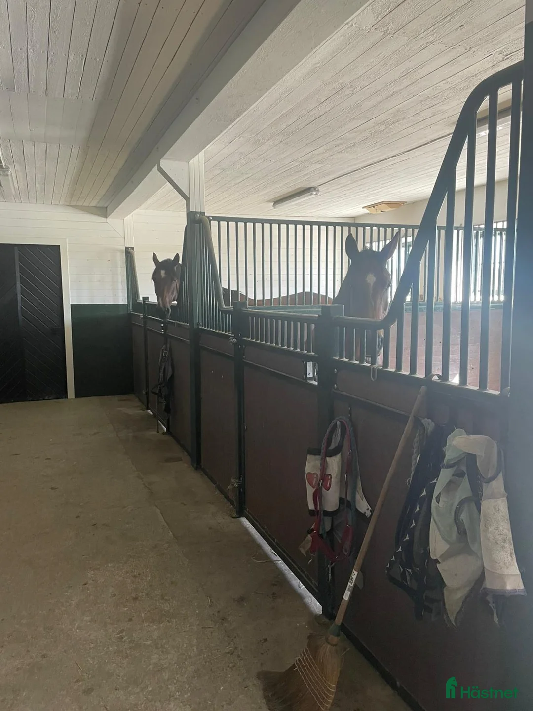  stallplats finnes: Ledig stallplats i Strängnäs  i Strängnäs - Annons 1