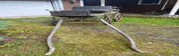 Körvagnar körning till salu: Kyrktrilla  - Annons 2
