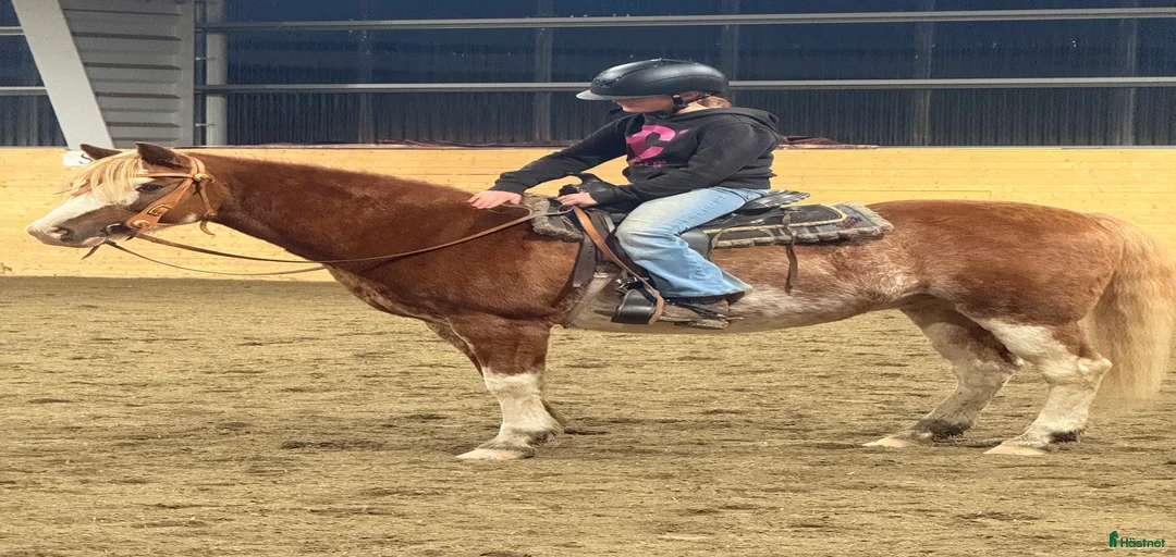 Galleribild {{count}}