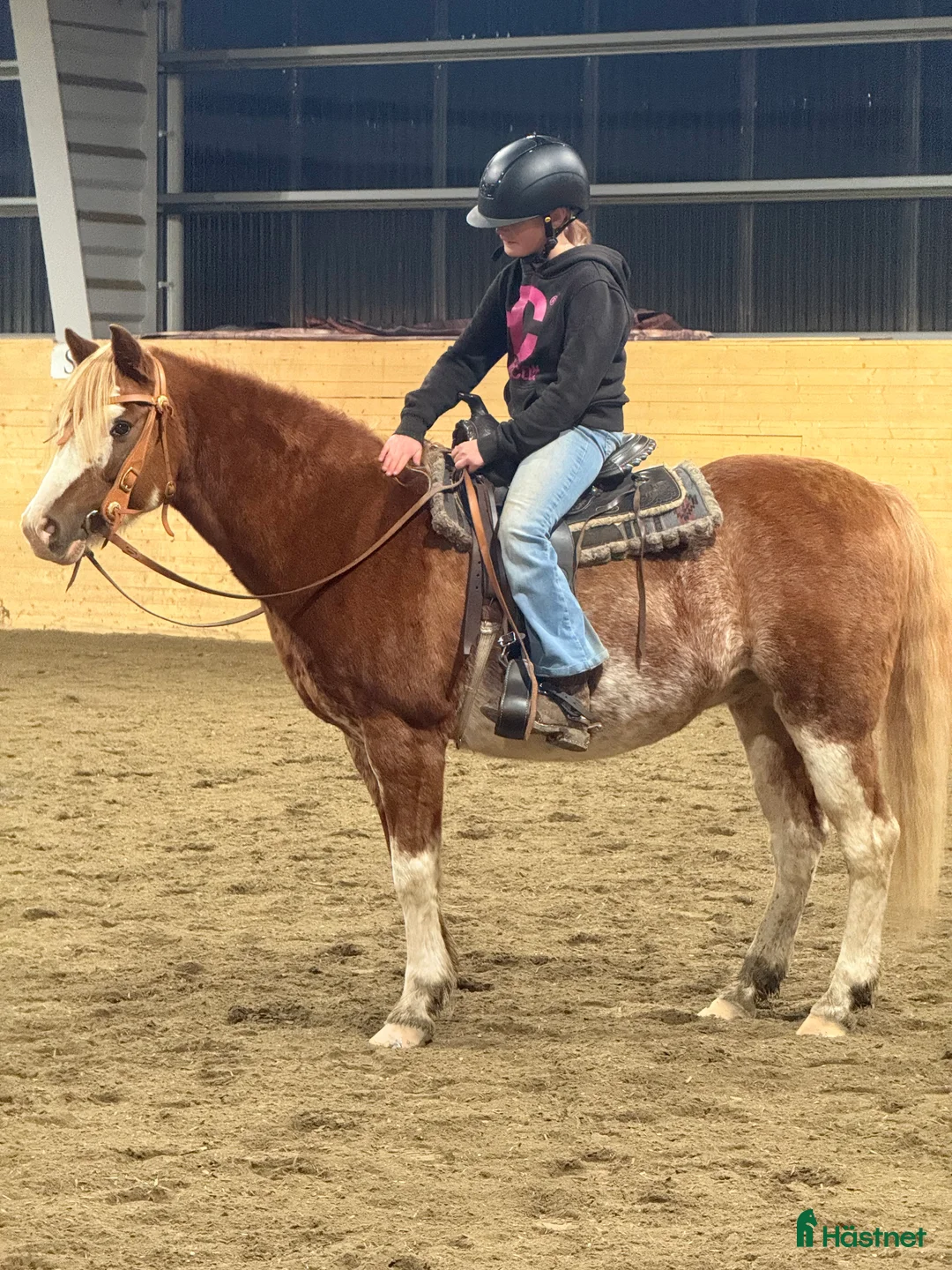 Galleribild {{count}}