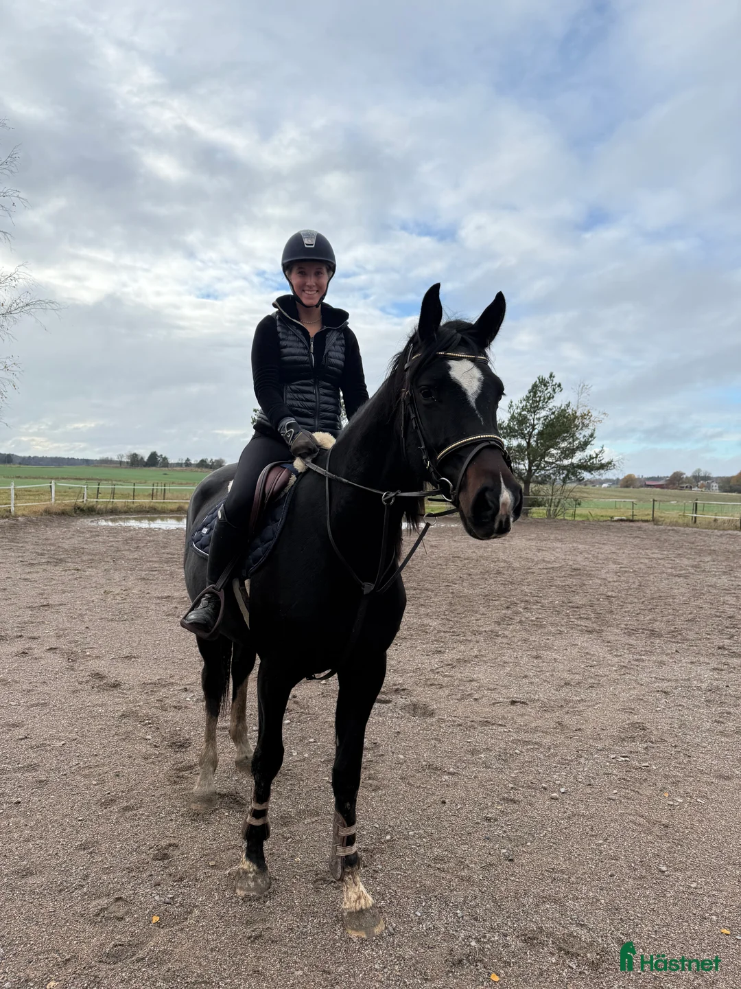 Hoppning hästar till salu: Framtida stjärna! Redo för 3-årstestet i Rimbo - Annons 3